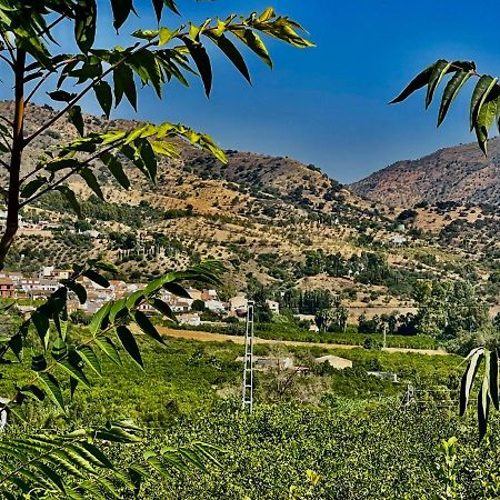 Finca Limoneros Apartamento Alora Exterior foto