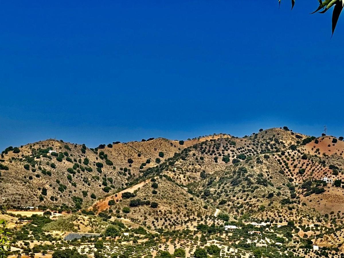 Finca Limoneros Apartamento Alora Exterior foto